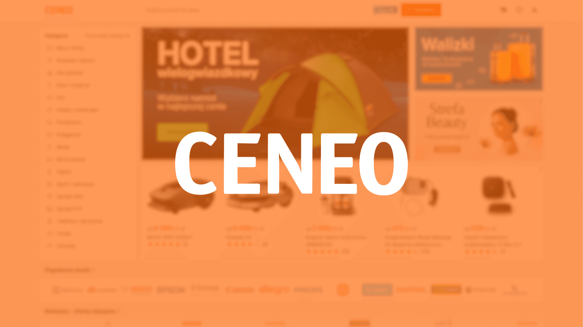 Twój bilet do świata e-commerce, czyli jak sprzedawać na Ceneo z zyskiem