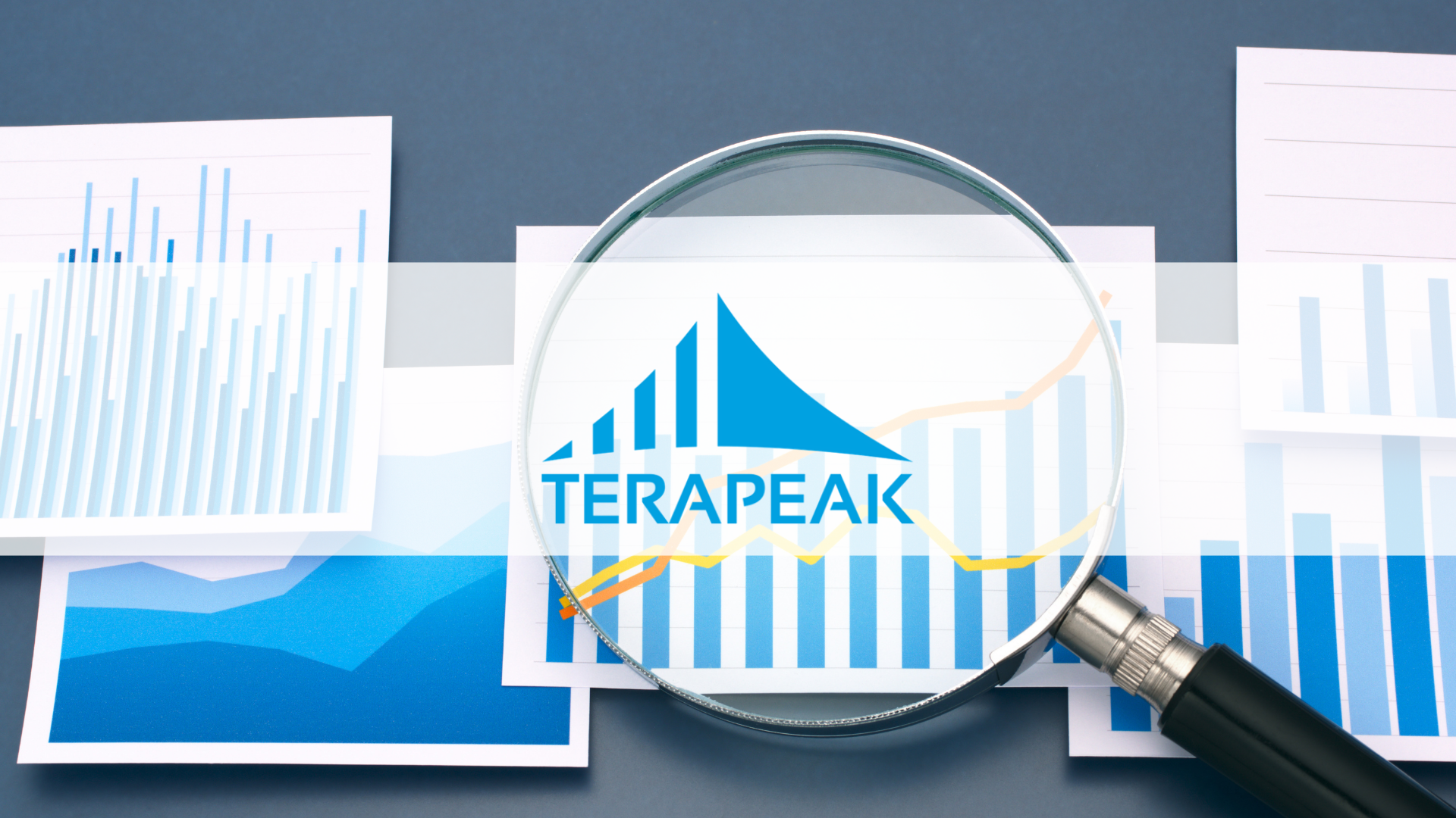 Logo Terapeak w szkle lupy nad wykresami słupkowymi i liniami trendu – badanie popytu na eBay