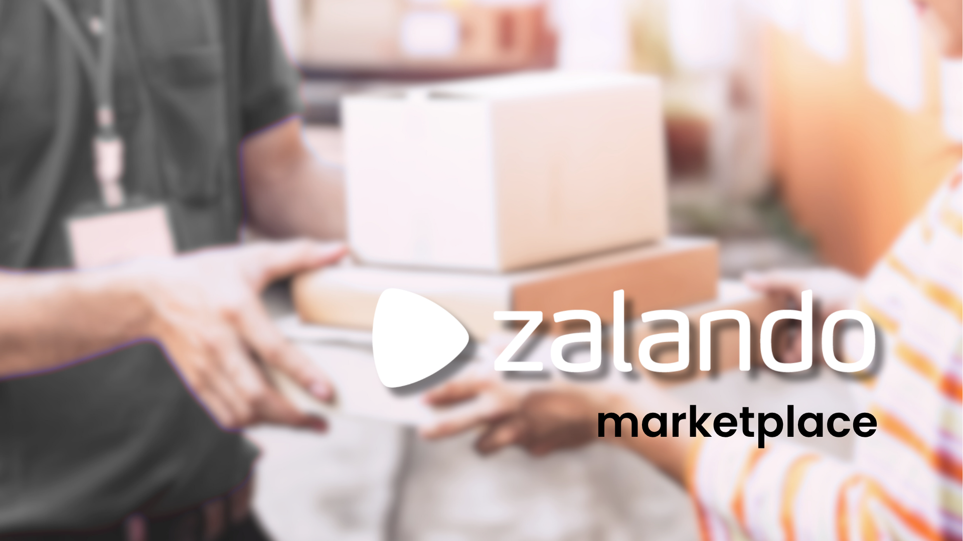 Zalando marketplace: jak sprzedawać i ile to kosztuje w 2026