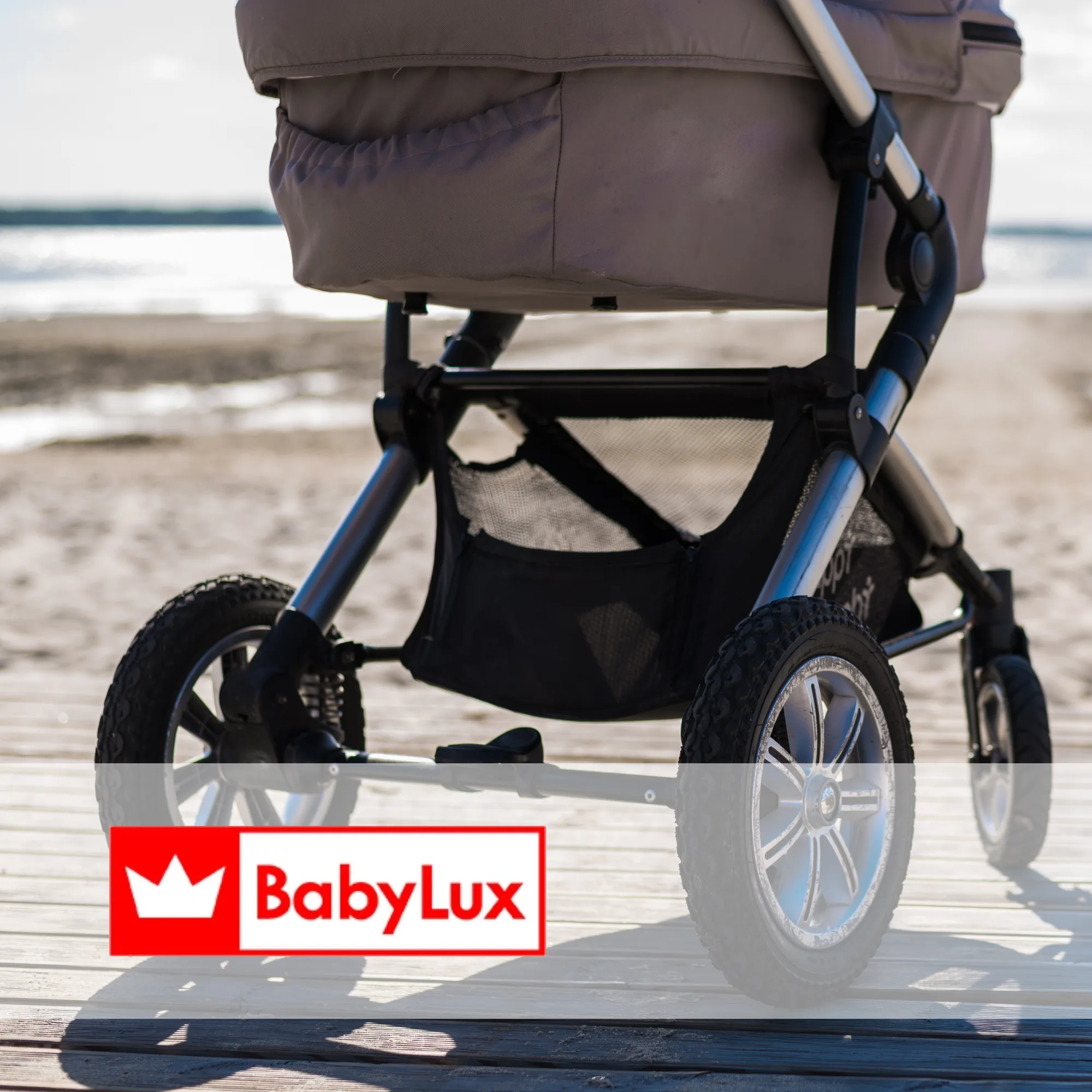 BabyLux | Case Study Raise Your Sales
