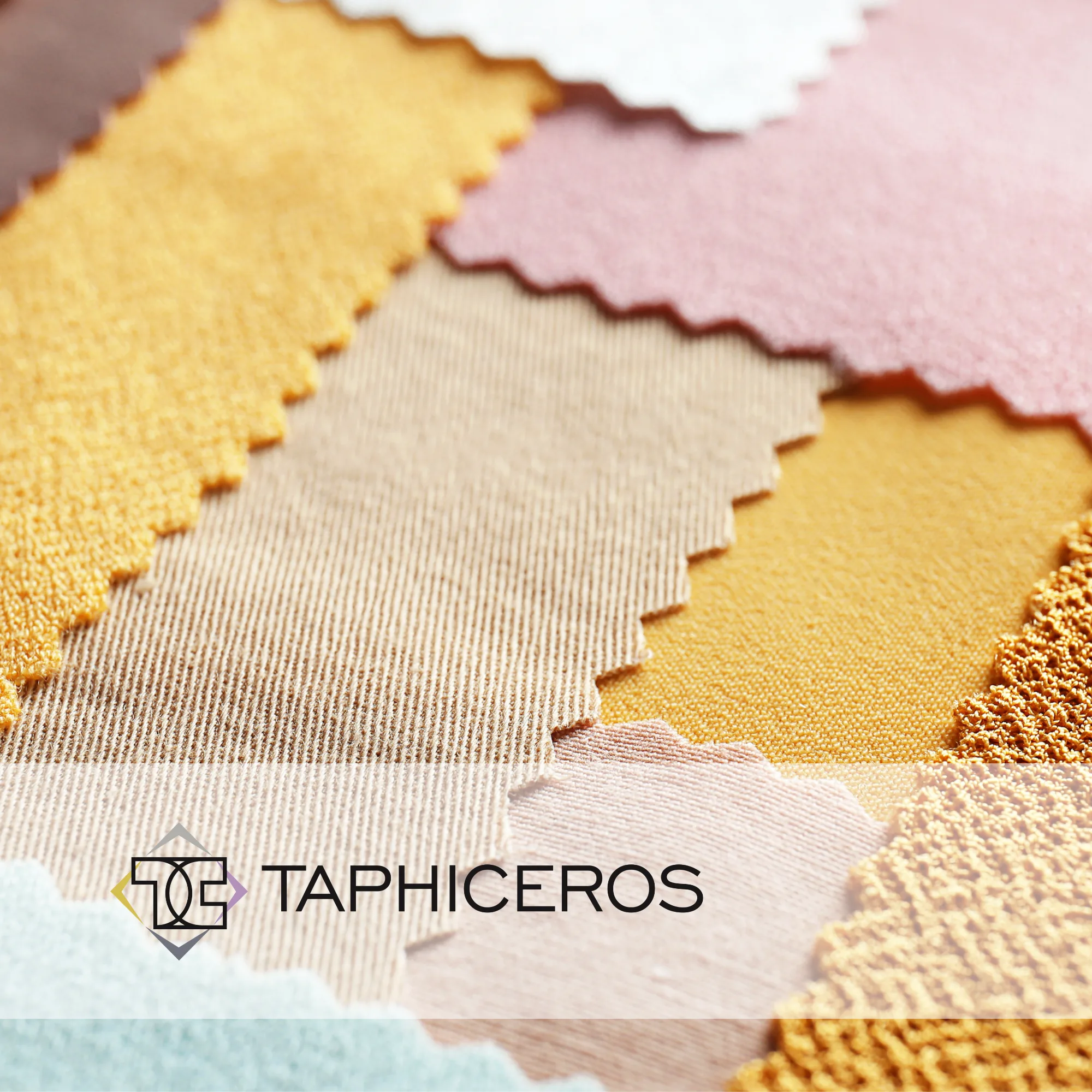 Taphiceros | Case Study Raise Your Sales