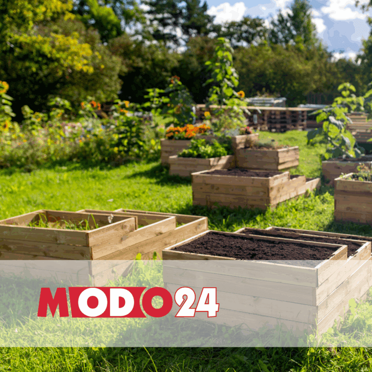MODO24 | Case Study Raise Your Sales