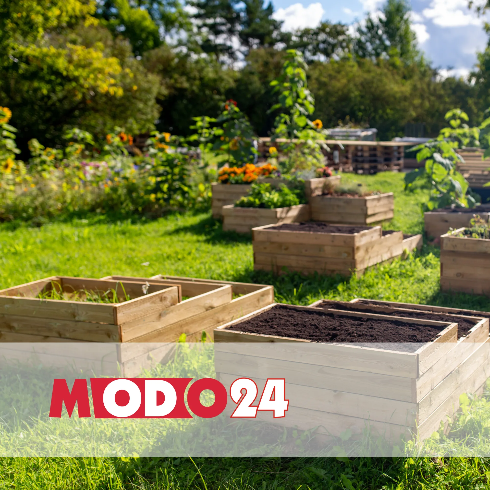 MODO24 | Case Study Raise Your Sales